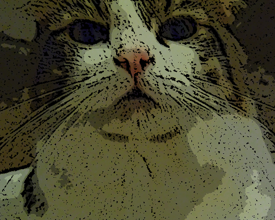 (c) Belinda Ostrowski