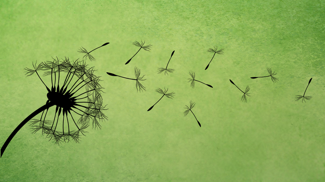 (c) kaalimies DollarPhotoClub