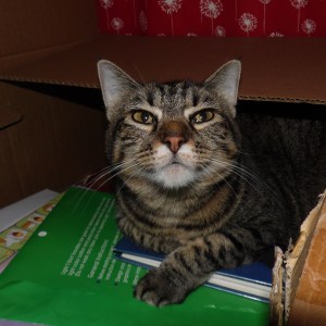 Mama, Where Did You Say We're Moving