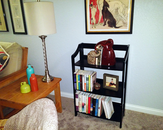 bookcase 2