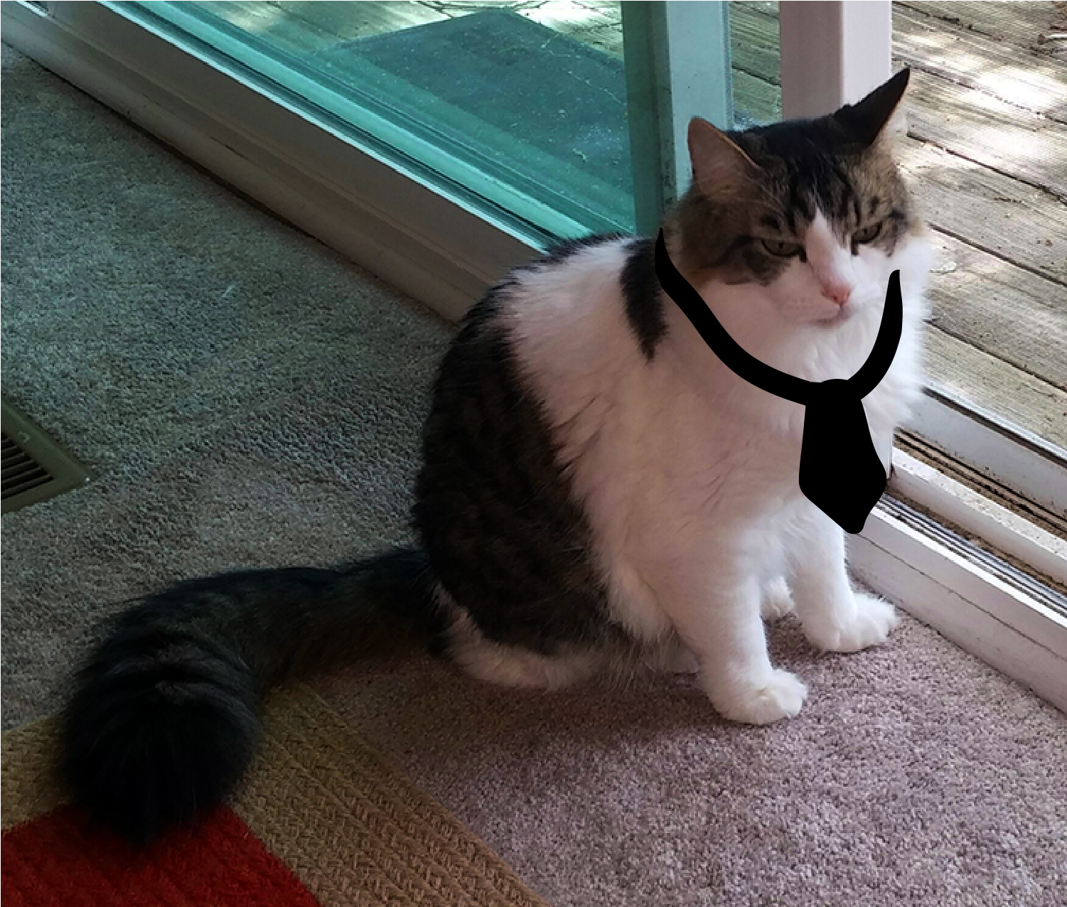 Walter wearing a tie