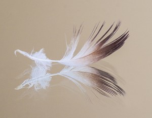 concepto de suavidad