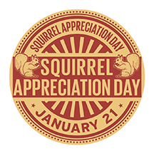 AdobeStock_241373127 small