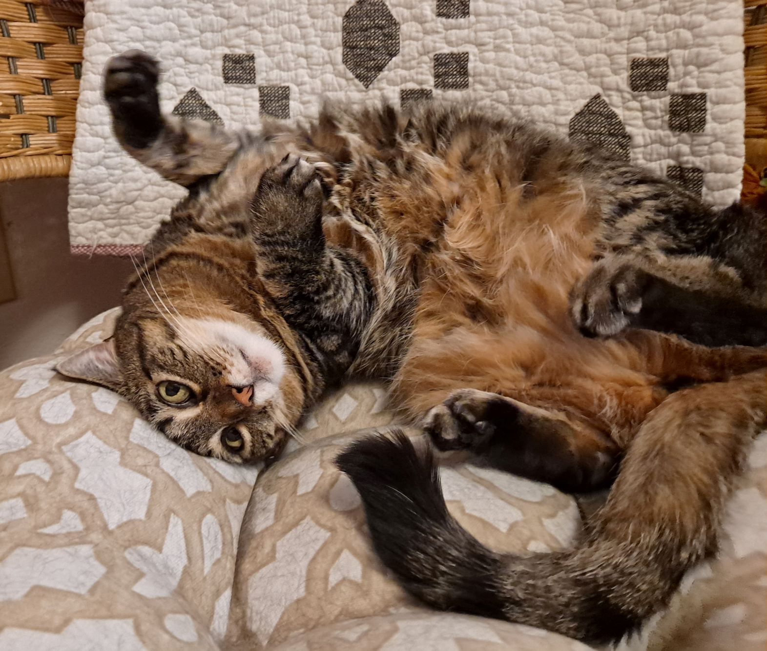 Mimi ready for love med